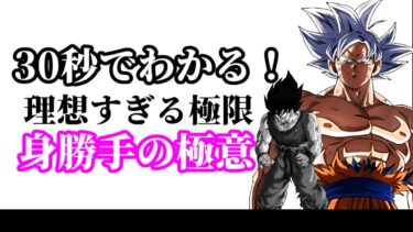 【ドッカンバトル】30秒で分かる身勝手の極意”兆”【比較】