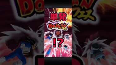 【ドッカンフェス】単発でまさかの！？【ドッカンバトル】#shorts #ドッカンフェス #ドッカンバトル #ケール #dokkanbattle #ガシャ #徳島のパンブーキン #単発ガチャ #ssr