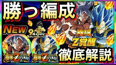 これで絶対勝てる！！『極限身勝手＆キラベジ』極限Zバトル『勝てる編成』徹底解説！！ドカバト9周年【ドッカンバトル】【地球育ちのげるし】