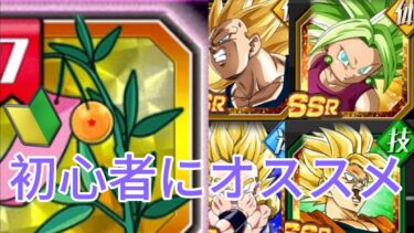 願いの短冊7のオススメキャラ教えます！【ドッカンバトル】
