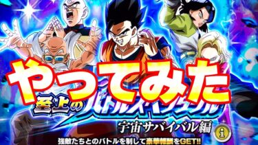 【新高難易度】バトスペVSベジータブルー進化に挑戦してみた【ドッカンバトル】