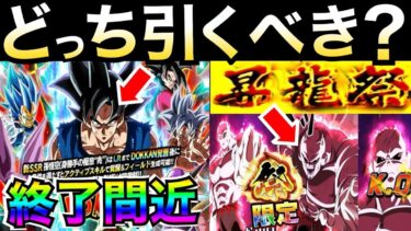 『最終判断』どっちのガチャを引くべきか？七夕身勝手vs.祭ジレン【ドッカンバトル】【地球育ちのげるし】
