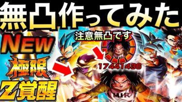 ガチャ＆コイン交換『悩んでる人』無凸極限LR17号(第七宇宙チーム)無凸使ってどうするべきか徹底解説！！【ドッカンバトル】【地球育ちのげるし】