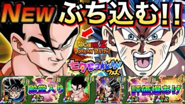 『究極戦士』ぶち込む！！七夕身勝手編成！！【ドッカンバトル】【地球育ちのげるし】