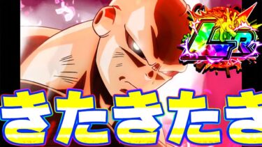 【祭り限定】楽しそうなLRジレンがきたきたきたー！！！！【ドッカンバトル】