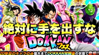 『ドッカンバトル　3241』大型キャンペーン直前！絶対に手を出すな！罠ガシャのグランドサマードッカンフェス＆ヒロインコレクション　【Dragon Ball Z Dokkan Battle】