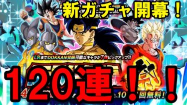 （ゆっくり実況）Zブロリーガチャ120連！（ドッカンバトル）