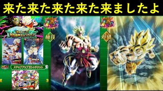 【ドッカンバトル】『フェス限LR悟空・祭LRブロリー』遂にお披露目！SP動画の夏大型CP最新情報まとめ