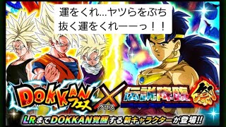 【ドッカンバトル】#14 夏の大型CP、ついに始動！！パワーくれ悟空とブロリーガチャ引いてみた！！！