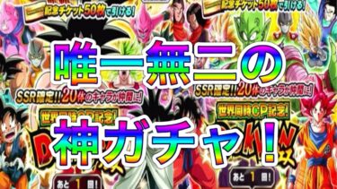 世界同時CP記念！ドッカンフェス！行くぜっ【ドッカンバトル】
