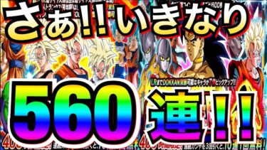 いざっ開幕！！『天井付き』フェス＆祭ガチャいきなり560連！！パワーをくれ悟空＆祭ブロリー【ドッカンバトル】【地球育ちのげるし】