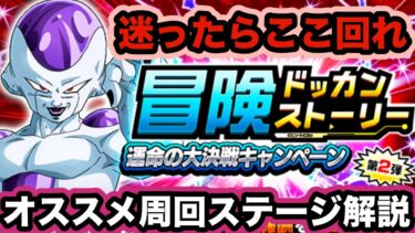【ドッカンバトル】新ステージは良ステ満載！冒険ドッカンストーリーおすすめ周回ステージ解説‼︎【Dragon Ball Z Dokkan Battle】