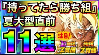 夏大型直前『これ持ってたら勝ち組』キャラ11選。何体持ってるか今すぐチェック【ドッカンバトル】【地球育ちのげるし】