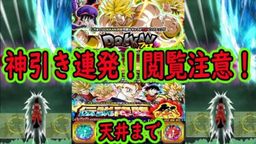 【ドッカンバトル】夏の大型後半ブロリーフェス＆悟飯祭ガシャ天井まで引く「○○○連」閲覧注意！〇周年引きからの神引きの連続！