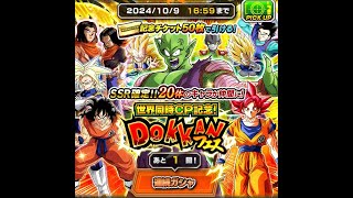 記念チケット50枚 ドッカンフェス マジュニア側 ドッカンバトルメモリアル龍石5 ガチャ