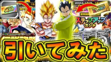 神引き超感謝チケット14枚＆ステップアップチケットガシャ引いたら楽しすぎた【ドッカンバトル】