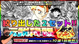 【ドッカンバトル】龍石300個貯まったらもう行くっきゃないっしょ!!【チョメch】