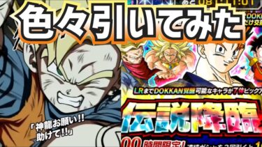 【ドッカンバトル】貯まってたチケットガチャを色々引いてみた！果たして収穫はあるのか？？