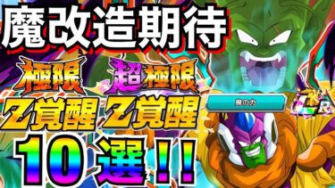 遂にあのLR超極限？『スラッグ実装』で極限＆超極限期待キャラ10選。解説【ドッカンバトル】【地球育ちのげるし】