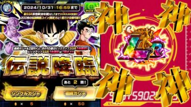 【ドッカンバトル】ネイコロ伝説降臨を1セットだけ引いてみたらw【DragonBallZDokkanBattle】