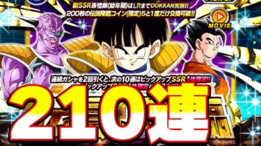 LRネイコロさんを狙って伝説降臨ガチャ210連【ドッカンバトル】