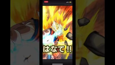 【ドッカンバトル】ベジータが好きだから龍石無いけど汚ねえ花火のベジータドッカンフェスをぶん回した