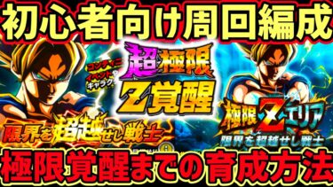 【ドッカンバトル】初心者向け！頂上決戦『限界を超越せし戦士』爆速おすすめ周回編成と極限Z覚醒までの育成方法！【DragonBallZDokkanBattle】