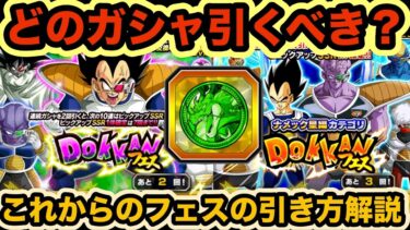 【ドッカンバトル】ついに天井が実装されたドッカンフェス引くべきか？&これからのドッカンフェス引く時の注意点解説‼︎【Dragon Ball Z Dokkan Battle】
