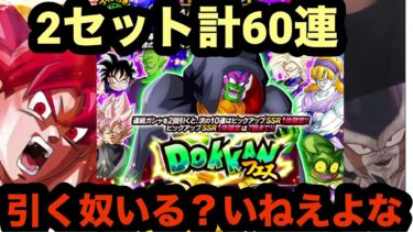 遂にフェス限化したスラッグ狙ってドッカンフェス２セット60連引いてみた！【ドッカンバトル】【Dragon Ball Z Dokkan Battle】