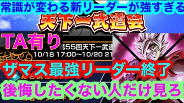 【ドッカンバトル  環境激変 天下一武道会  最強リーダー 更新 】爆速周回 知らなきゃ致命的なレベルの情報youtube初後悔  TA有り 夏のCP　地元最強　ドカバト藤原【ドカバト ドラゴンボール
