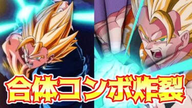 【ドッカンバトル】極限合体戦士　ゴジータとベジットを並べて使う