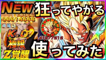 最強極限『サ終レベル』ぶっ壊れ極限LRゴジータ使ったら◯◯じゃねーか！！【ドッカンバトル】【地球育ちのげるし】