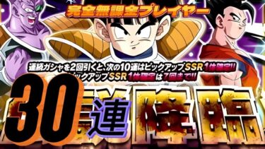 【Dragon Ball Z Dokkan Battle】無課金実況プレイヤー　伝説降臨　３０連　悟飯＆ピッコロ　少ない龍石で狙ってみた【ドッカンバトル】