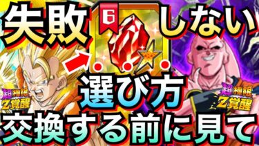 知らないと損する『セレクト龍石6』失敗しない交換方法『おすすめキャラ』徹底解説！！【ドッカンバトル】【地球育ちのげるし】