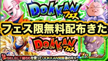 セレクト龍石が熱い！ホットに遊べ！冬のドッカンCP開幕【ドッカンバトル】【Dragon Ball Z Dokkan Battle】