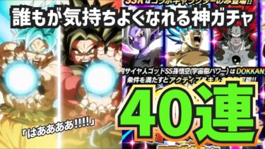【ドッカンバトル】最後のヒーローズコラボ！？新キャラ宇宙樹木狙悟空って魂の40連！果たして当たるのか？