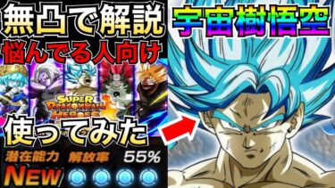 どうするべき？『無凸宇宙樹悟空』使って徹底解説！！凸は必要？ガチャ引くべき？【ドッカンバトル】【地球育ちのげるし】