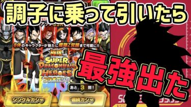 【ドッカンバトル】酒飲んで調子に乗って極限ヒーローズガシャぶん回したら最強出たw【DragonBallZDokkanBattle】