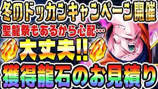 【10周年に向けたラストスパート】12月の獲得龍石のお見積り！｜#冬のドッカンキャンペーン ｜ドッカンバトル【ソニオTV】