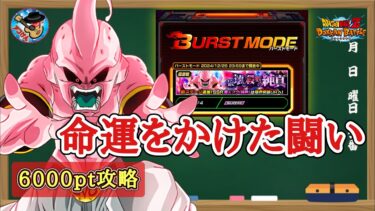 【ドッカンバトル】バーストモード『破壊と殺戮の純真 命運をかけた闘いカテゴリー 6000pt攻略 徹底解説！