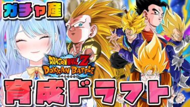 【ドラゴンボールZ ドッカンバトル】育成と整頓！&雑談 初見歓迎! ⚠情緒注意 DBZ #ドラゴンボール
