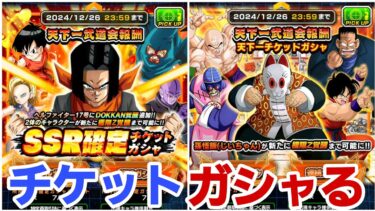 ヘルファイター17号狙いでチケットガシャを引いてみた【ドッカンバトル】
