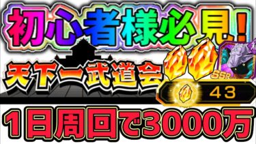 【ドッカンバトル】天下一武道会 初心者さん必見！1日周回でミッション3000万pt可能爆速編成！【DragonBallZDokkanBattle】
