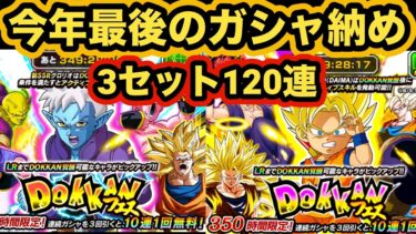 2024年最後のガシャ！年末DAIMAのWドッカンフェス３セット120連引いてみた！【ドッカンバトル】【Dragon Ball Z Dokkan Battle】