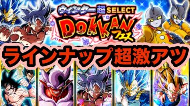 最強クラスの極限キャラが集結したウィンター超セレクト龍石おすすめ交換キャラ解説‼︎【ドッカンバトル】【Dragon Ball Z Dokkan Battle】