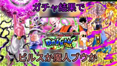 【ドラゴンボールドッカンバトル】DOKKANフェス　ガチャ結果でセレクト龍石の使い道が変わる!