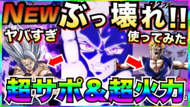 超サポ＆超火力がヤバい『グロリオ』使ってみたらサポートが楽しすぎる！！【ドッカンバトル】【地球育ちのげるし】