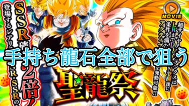 【ドッカンバトル】ゴテンクスカガシャを持ち龍石全部使って狙った結果…