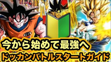 始めるなら10周年の今だ！初めてのドッカンバトル進め方実演解説‼︎【ドッカンバトル】【Dragon Ball Z Dokkan Battle】