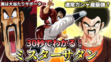 【ドッカンバトル】30秒でわかる！ミスターサタン【性能解説】